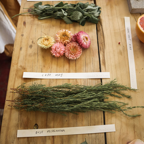 Hilma Perfume ~ by Très Nagual